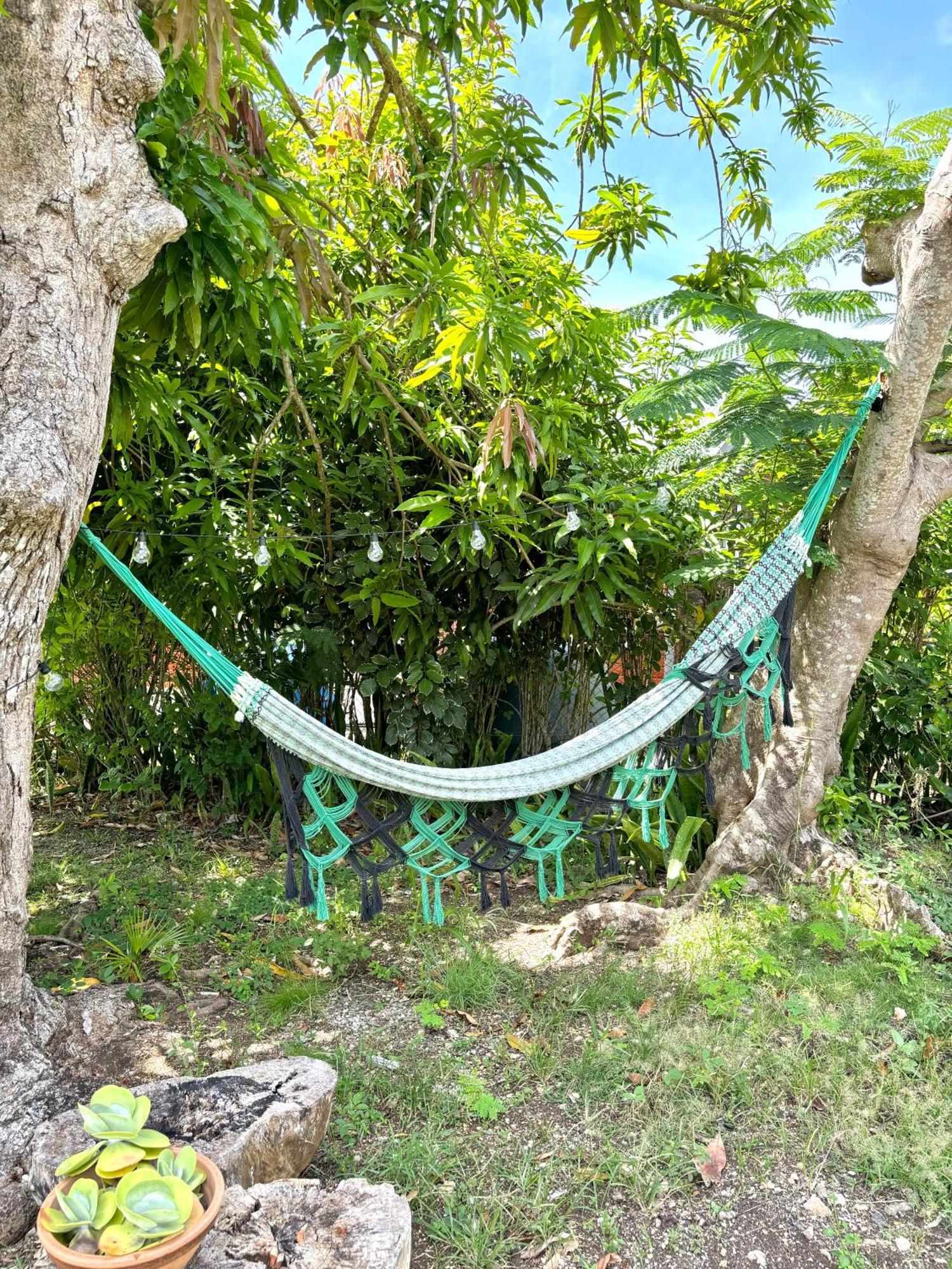 La Maison Creole Du Flamboyant - Proche Des Plages Anse-Bertrand Exterior photo
